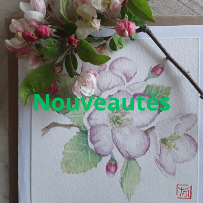 Tableaux 1